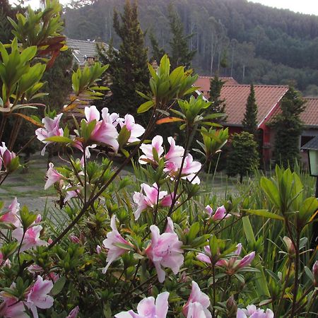 Pousada Flores Da Serra Monte Verde  Dış mekan fotoğraf