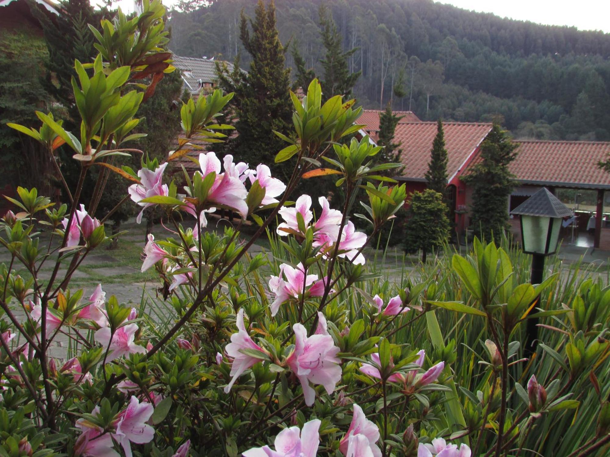 Pousada Flores Da Serra Monte Verde  Dış mekan fotoğraf